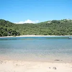 Lily's Peaceful Oasis- Brand New *