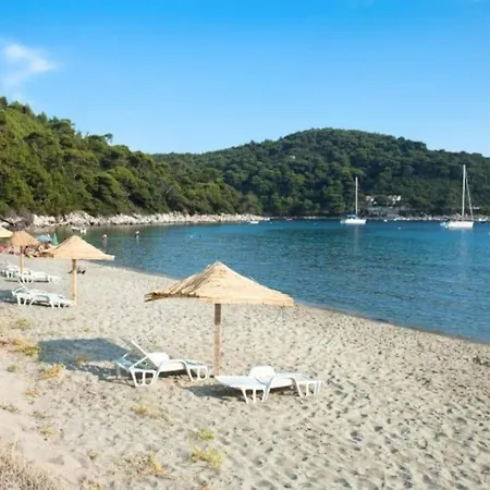 Apartment Lily's Peaceful Oasis- Brand New *