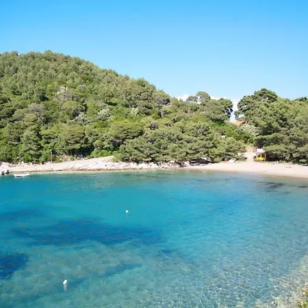 Lily's Peaceful Oasis- Brand New *