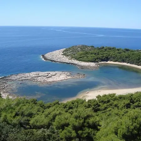 Lily's Peaceful Oasis- Brand New