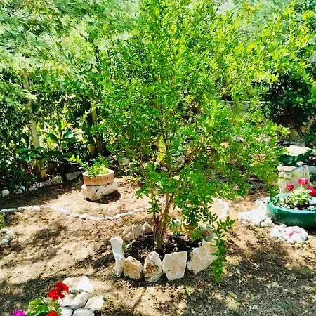 Lily's Peaceful Oasis- Brand New Apartment