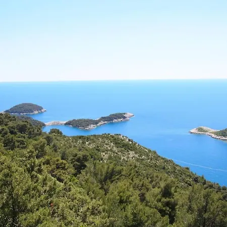 Lily's Peaceful Oasis- Brand New *