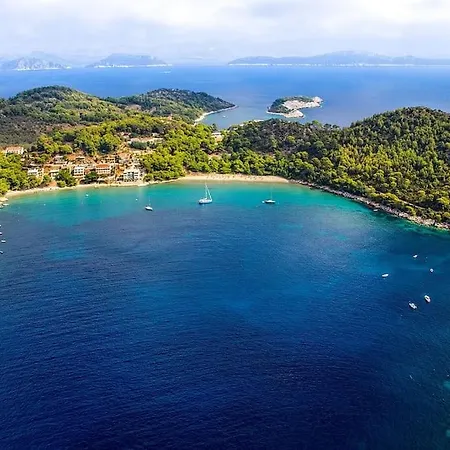 Lily's Peaceful Oasis- Brand New *