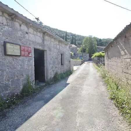 Lily's Peaceful Oasis- Brand New