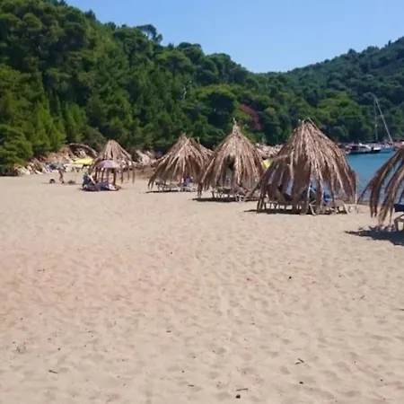 Apartment Lily's Peaceful Oasis- Brand New