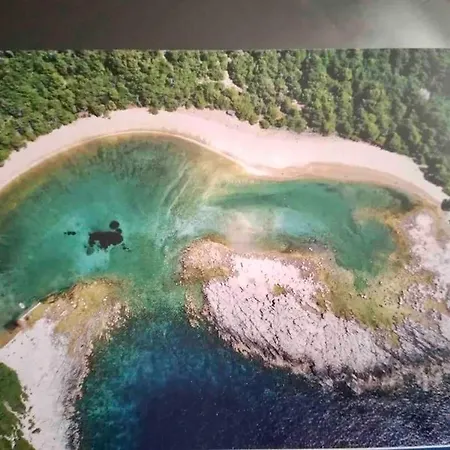 Lily's Peaceful Oasis- Brand New Apartment *