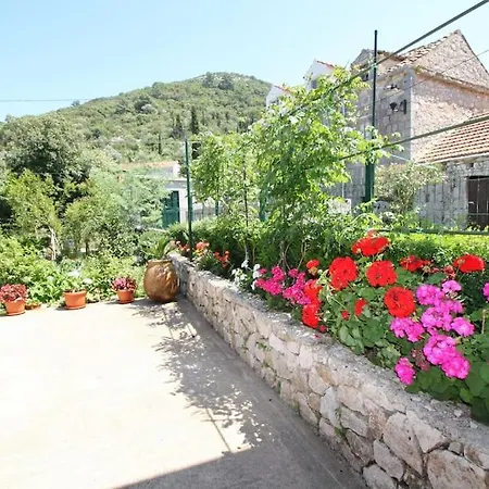 Lily's Peaceful Oasis- Brand New Lejlighed Korita