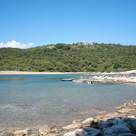 Lily's Peaceful Oasis- Brand New * Korita