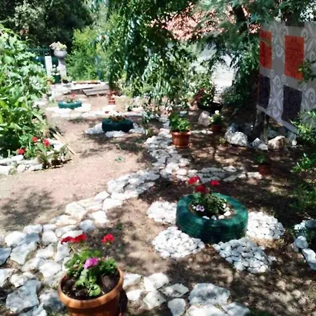 Lily's Peaceful Oasis- Brand New *