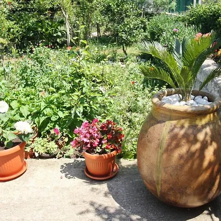 Lily's Peaceful Oasis- Brand New * Korita