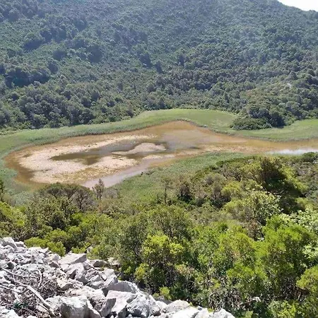 Apartment Lily's Peaceful Oasis- Brand New *