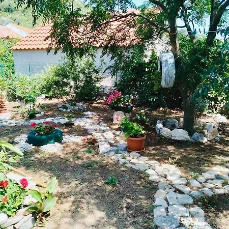 Lejlighed Lily's Peaceful Oasis- Brand New