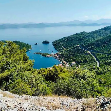 Lily's Peaceful Oasis- Brand New *