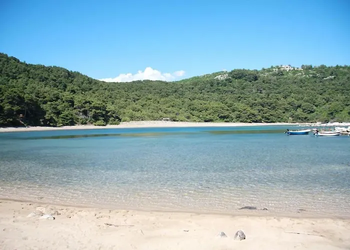 Lily's Peaceful Oasis- Brand New *