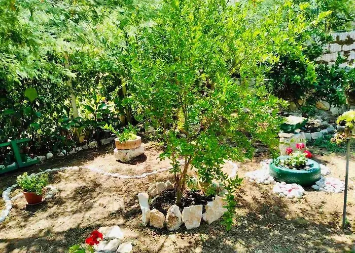 Lily's Peaceful Oasis- Brand New Appartement