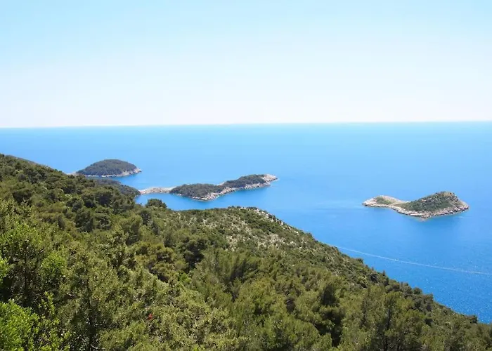 Lily's Peaceful Oasis- Brand New *