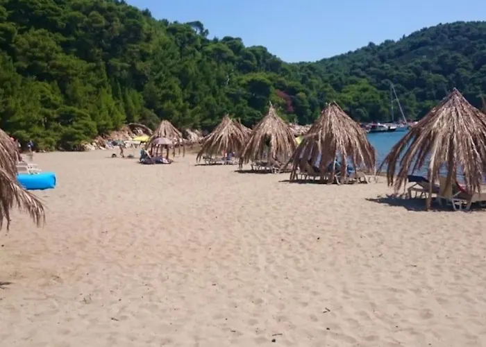 Appartement Lily's Peaceful Oasis- Brand New