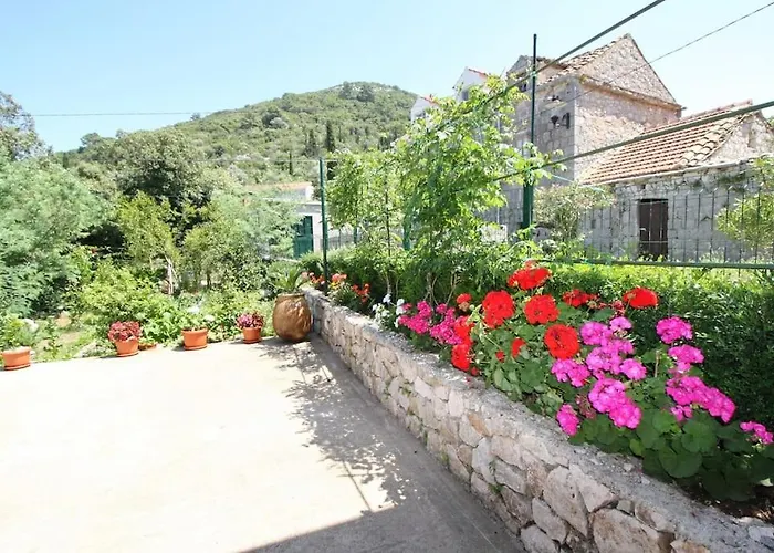 Lily's Peaceful Oasis- Brand New Appartement Korita