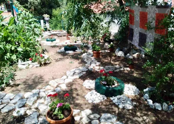 Lily's Peaceful Oasis- Brand New *