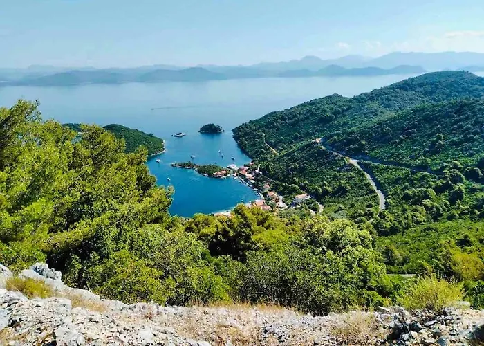 Lily's Peaceful Oasis- Brand New *